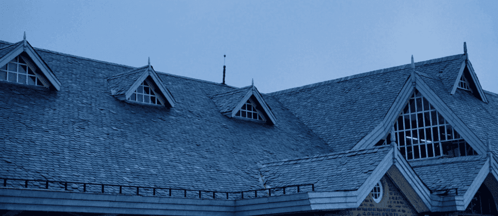 gutter mesh on a large house, taken at twilight