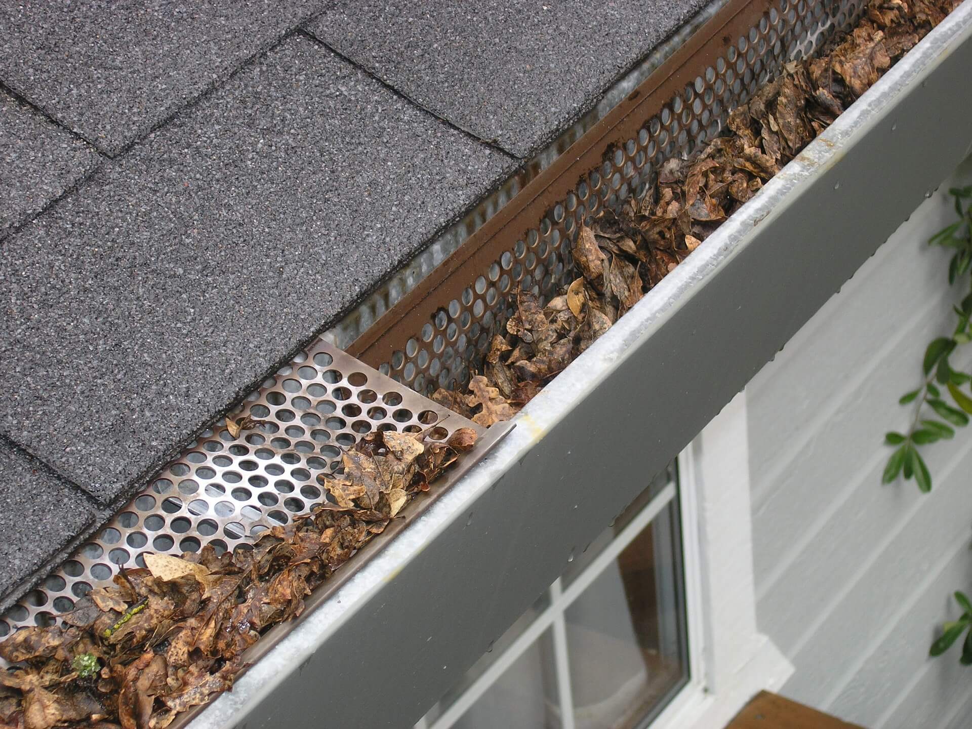 Leaves inside gutter, the gutter has old brown rusted gutter guards.