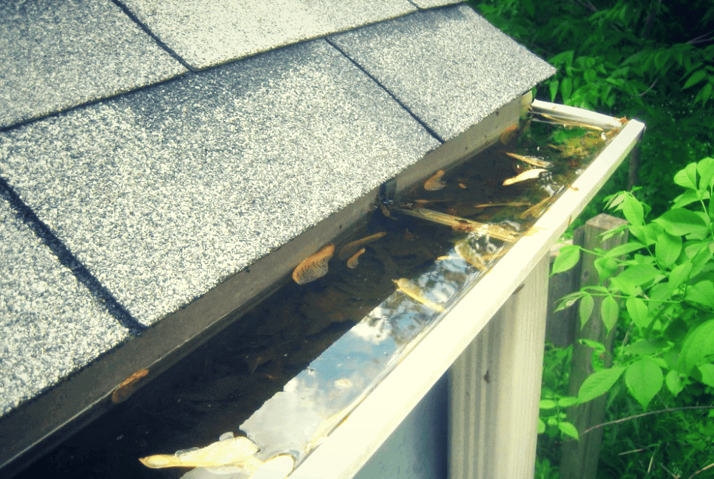 Flooded guttering full of water and leaves.